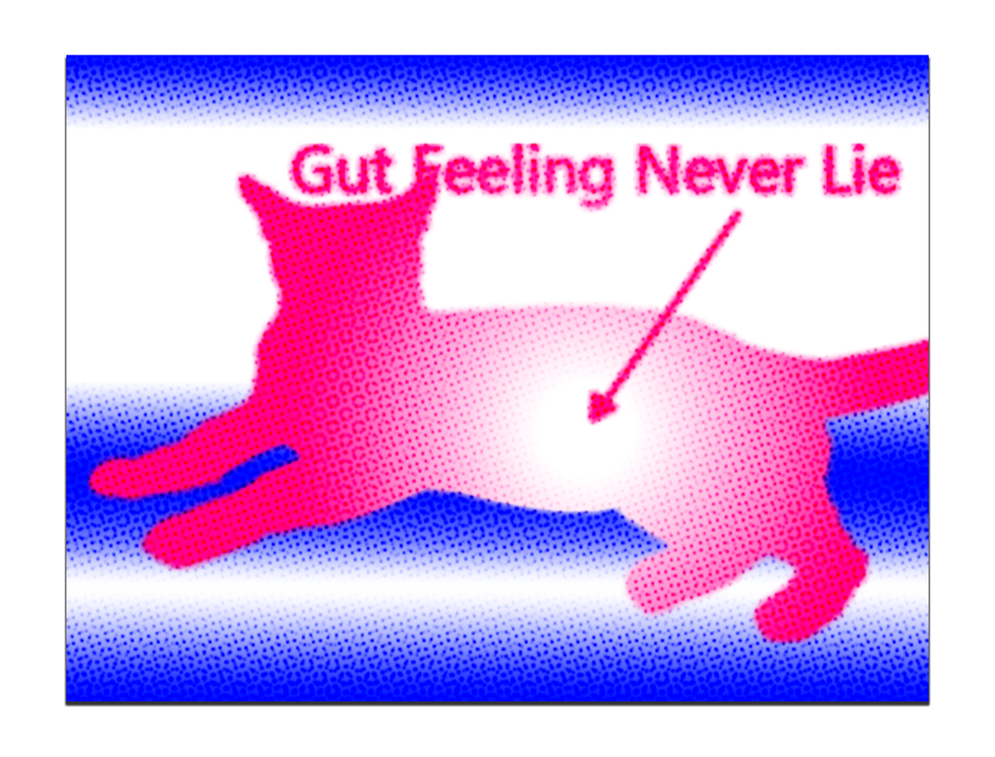 Gut Feeling Never Lie (2025) Design