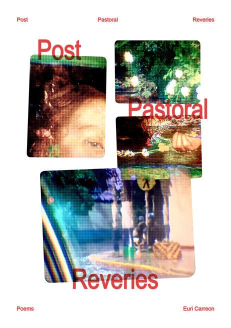 Post Pastoral Reveries (2024) Graphic design and layout. Zine cover art commission.